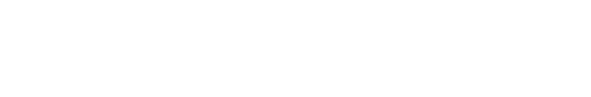 Our Service