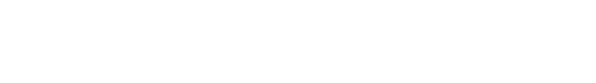 Our Service